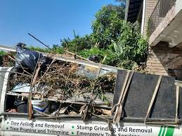 Best Moving and Downsizing Cleanouts  in Lumberton, NC